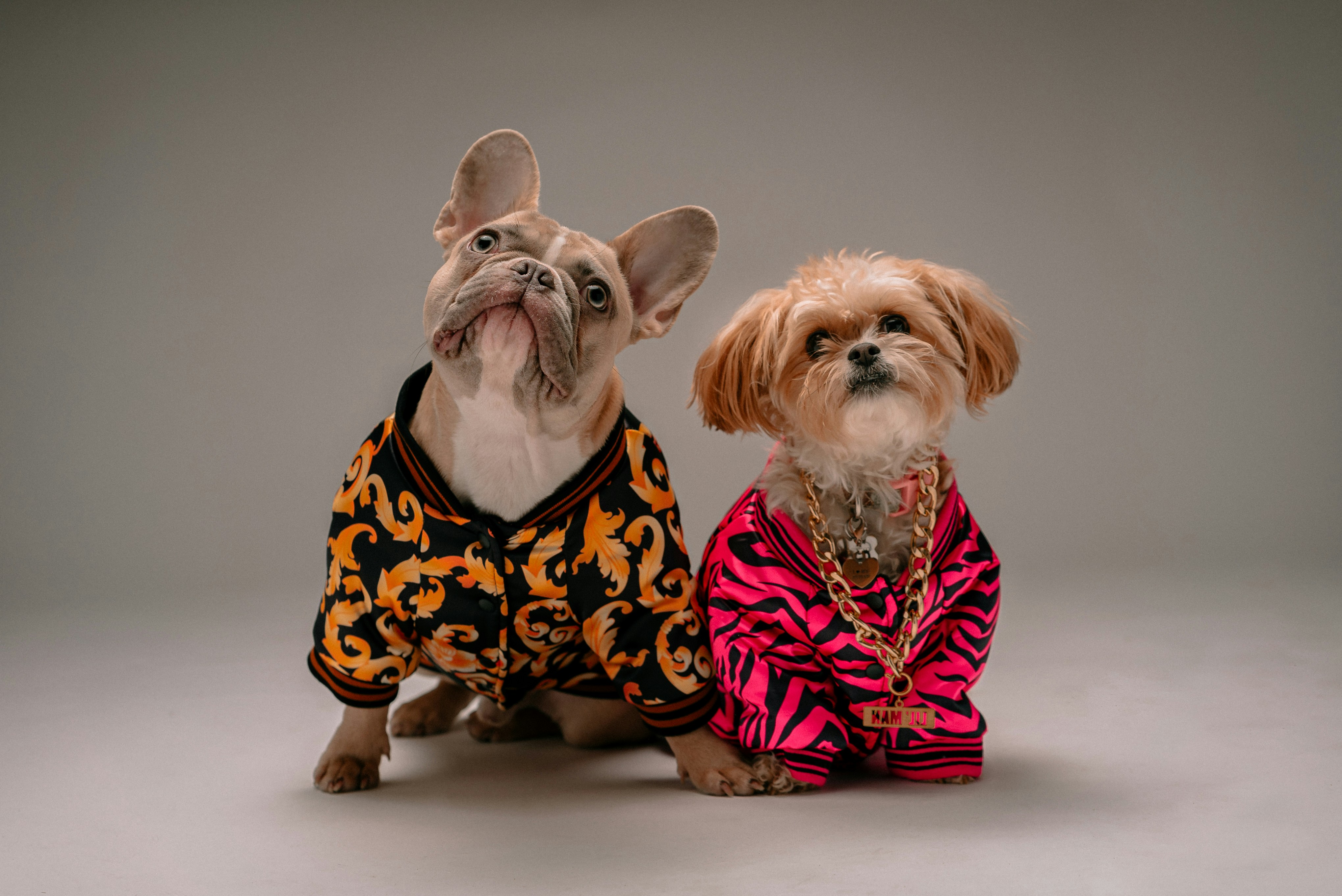 Fashion Model
