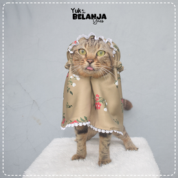 Produk Perlengkapan Kucing Premium #141