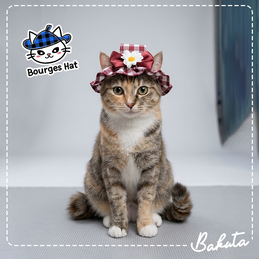 Produk Perlengkapan Kucing Premium #185