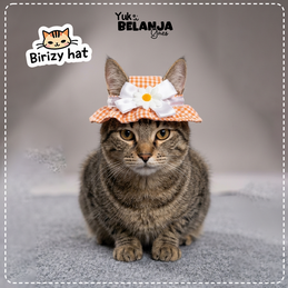 Produk Perlengkapan Anjing Premium #114