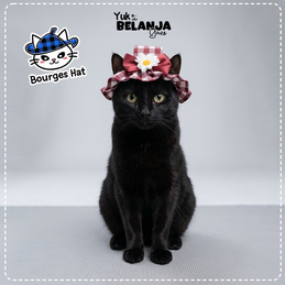 Produk Perlengkapan Anjing Premium #118